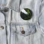 Bali Myna Button (Beispiel)