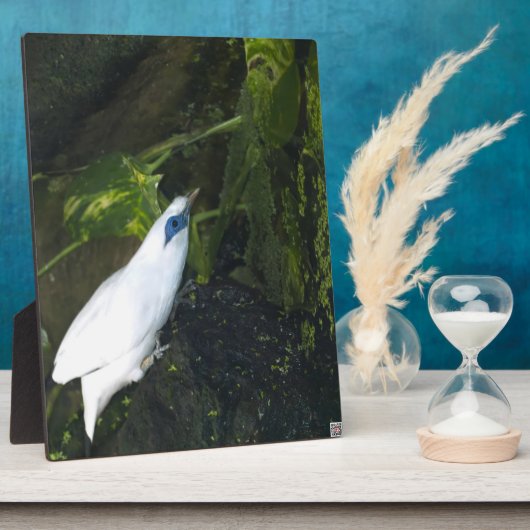 Bali Myna Fotoplatte (Seite)