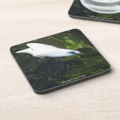 Bali Myna Getränkeuntersetzer (Linke Seite)