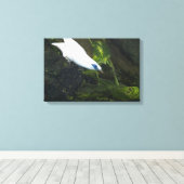 Bali Myna Leinwanddruck (Insitu (Holzboden))