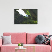 Bali Myna Leinwanddruck (Insitu (Wohnzimmer))