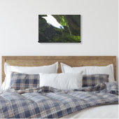 Bali Myna Leinwanddruck (Insitu (Schlafzimmer))