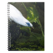 Bali Myna Notizblock (Vorderseite)