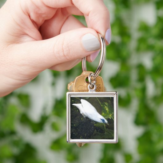 Bali Myna Schlüsselanhänger (Hand)