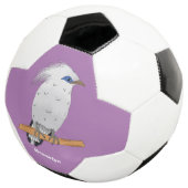 Bali Myna Tropenvogel Fußball (Dreiviertel)