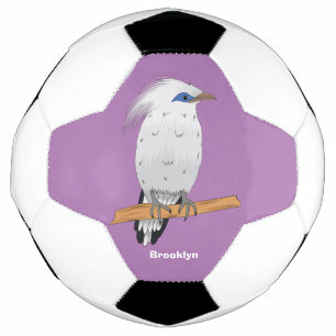 Bali Myna Tropenvogel Fußball