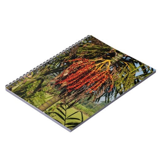 Bali Palm Fruit Rice Field Notebook Notizblock (Linke Seite)