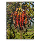 Bali Palm Fruit Rice Field Notebook Notizblock (Vorderseite)