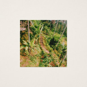 Bali Regenwaldtreppe