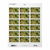 Bali Regenwaldtreppe Adressaufkleber (Vorne)