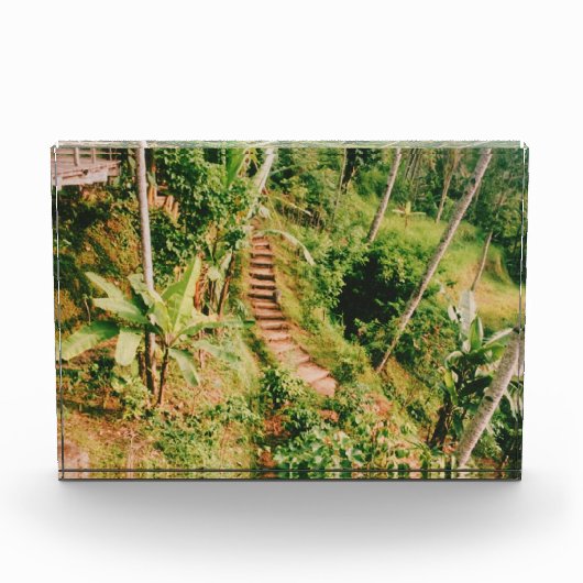Bali Regenwaldtreppe Fotoblock (Vorderseite)