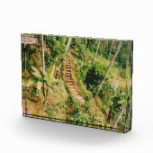 Bali Regenwaldtreppe Fotoblock (Rechts)