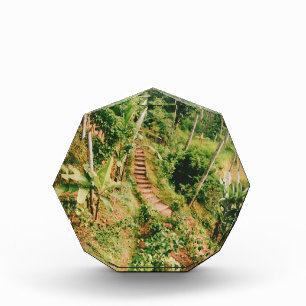 Bali Regenwaldtreppe Fotoblock