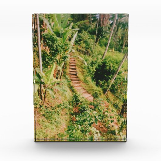 Bali Regenwaldtreppe Fotoblock (Vorderseite)