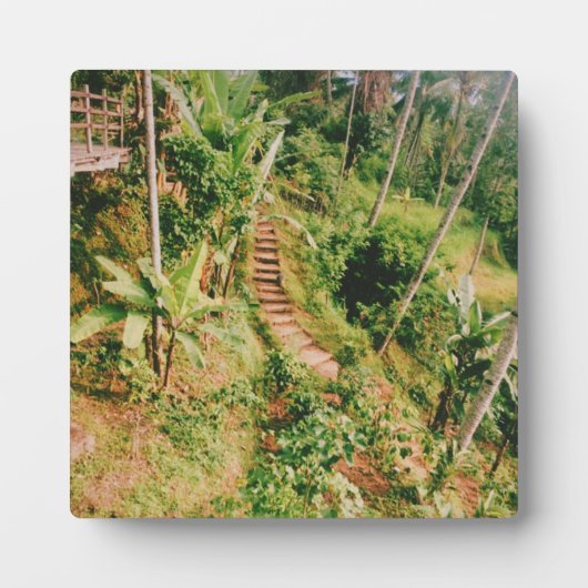 Bali Regenwaldtreppe Fotoplatte (Vorderseite)