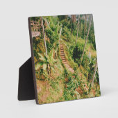 Bali Regenwaldtreppe Fotoplatte (Vorderseite)