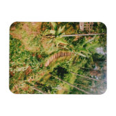 Bali Regenwaldtreppe Magnet (Horizontal)