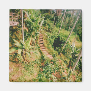 Bali Regenwaldtreppe Magnet