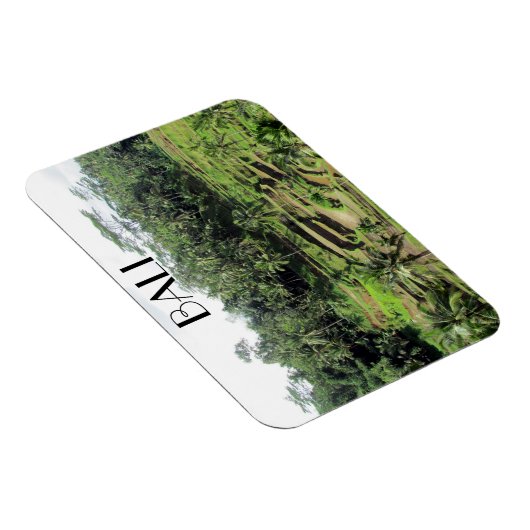 Bali-Reis Magnet (Rechte Seite)