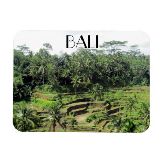 Bali-Reis Magnet