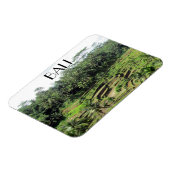 Bali-Reis Magnet (Linke Seite)