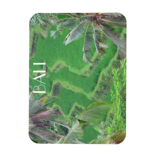 Bali Reis Terrassen Magnet (Vertikal)