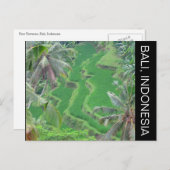 Bali-Reis-Terrassen Postkarte (Vorne/Hinten)