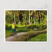 Bali Rice Field Sunset Postcard Feiertagspostkarte (Vorderseite)
