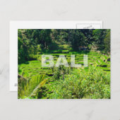 Bali Rice Terraces Postkarte (Vorne/Hinten)