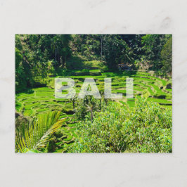 Bali Rice Terraces Postkarte