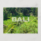 Bali Rice Terraces Postkarte (Vorderseite)
