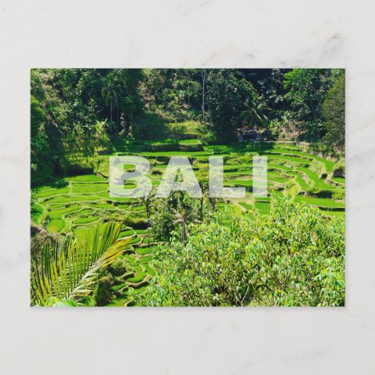 Bali Rice Terraces Postkarte (Vorderseite)