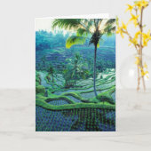 Bali| Übersicht über ReisTerrassen Karte (Gelbe Blume)