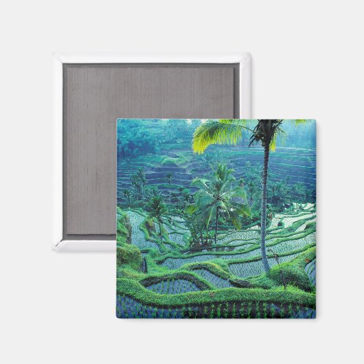 Bali | Übersicht über Reisterrassen Magnet (Vorderseite/Rückseite)