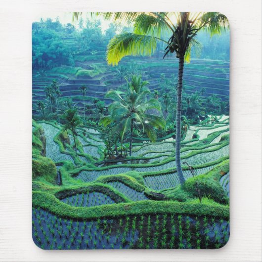 Bali | Übersicht über Reisterrassen Mousepad (Vorne)