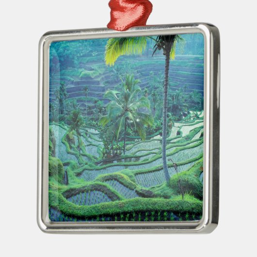 Bali | Übersicht über Reisterrassen Ornament Aus Metall (Links)