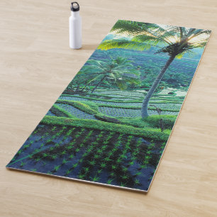 Bali  Übersicht über ReisTerrassen Yogamatte