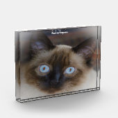 Balinese Cat Fotoblock (Links)