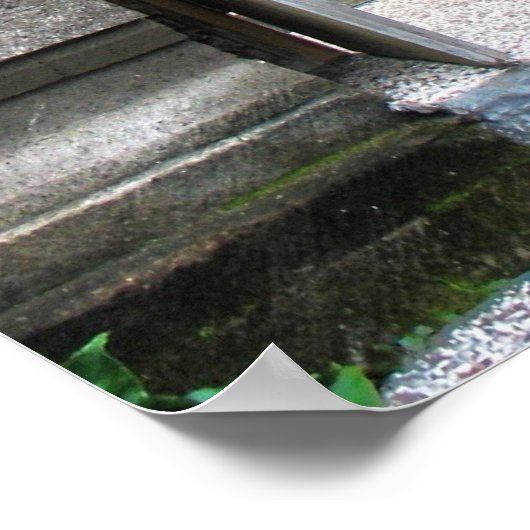 Balinese Doster Poster (Ecke)