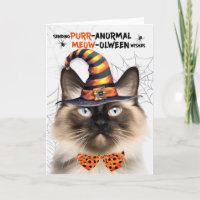 Balinese Halloween Cat PURRanormal MEOWolween