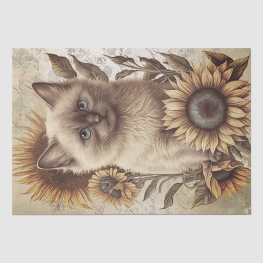 Balinese Kitten Sunflower Cat Seidenpapier (Vorderseite)
