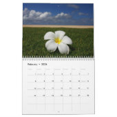 Balinese-Träume Kalender (Feb 2026)