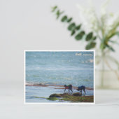 Balinesische Algen Ernte Bali Postkarte (Stehend Vorderseite)