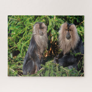 Balinesische Javaneraffen. Puzzle