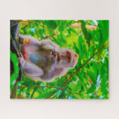 Balinesische Langschwanzmakaken. Puzzle (Horizontal)