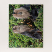 Balinesische Langschwanzmakaken. Puzzle (Vertikal)