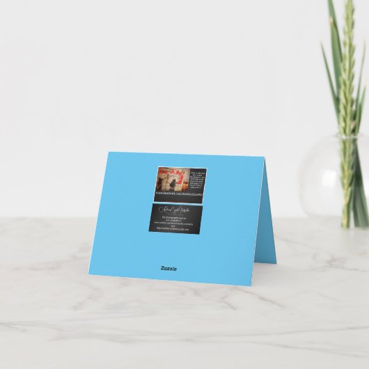 Ball BD 1 Karte (Rückseite)