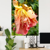 Ball Gown Dead Rose, gelb orange Poster (Heimbüro)