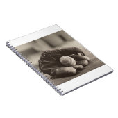 Ball MES01BWD1 in Mitt.tif Notizblock (Rechte Seite)