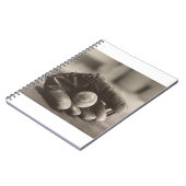 Ball MES01BWD1 in Mitt.tif Notizblock (Linke Seite)